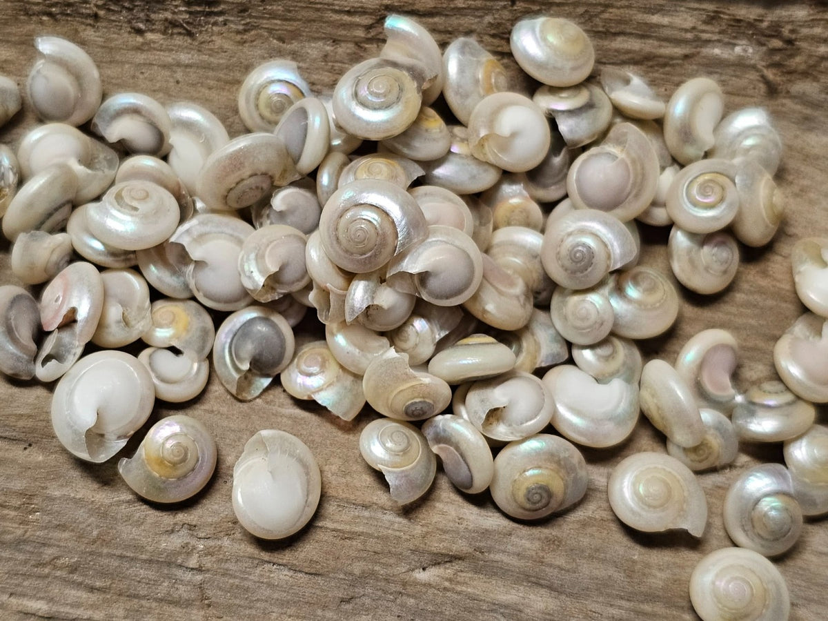 46691364