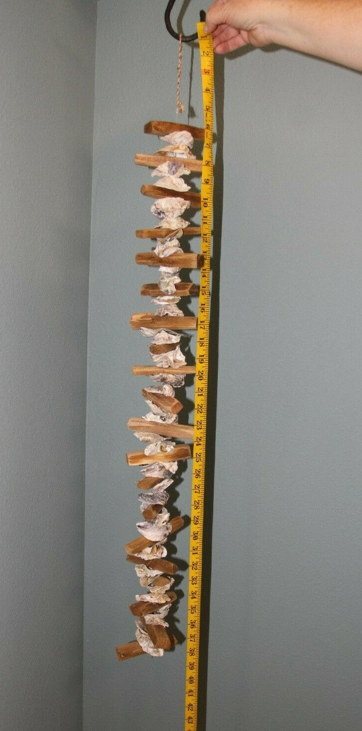 45286053