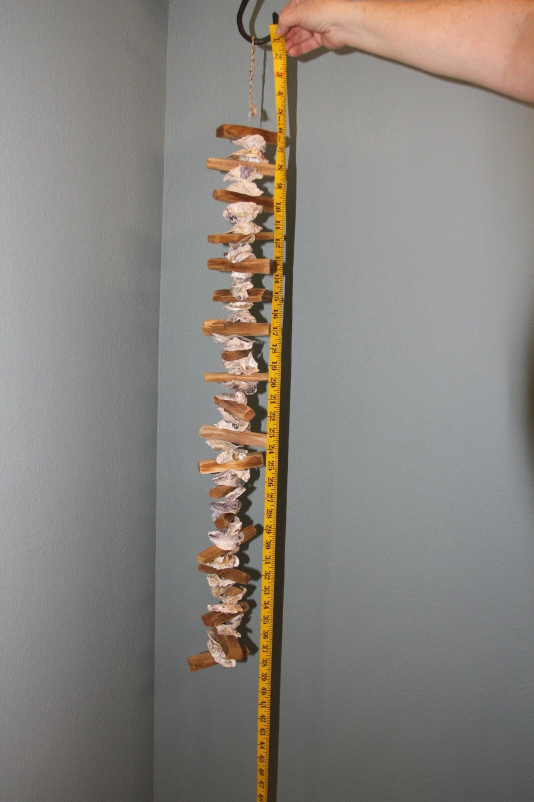 45286040