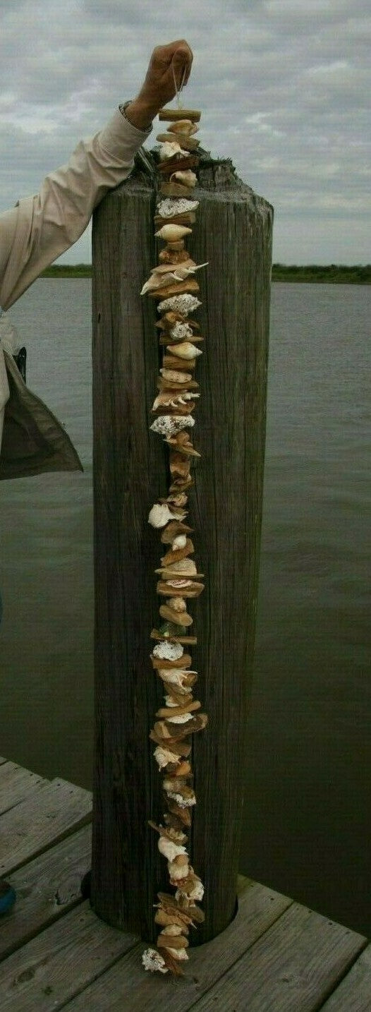 45283119