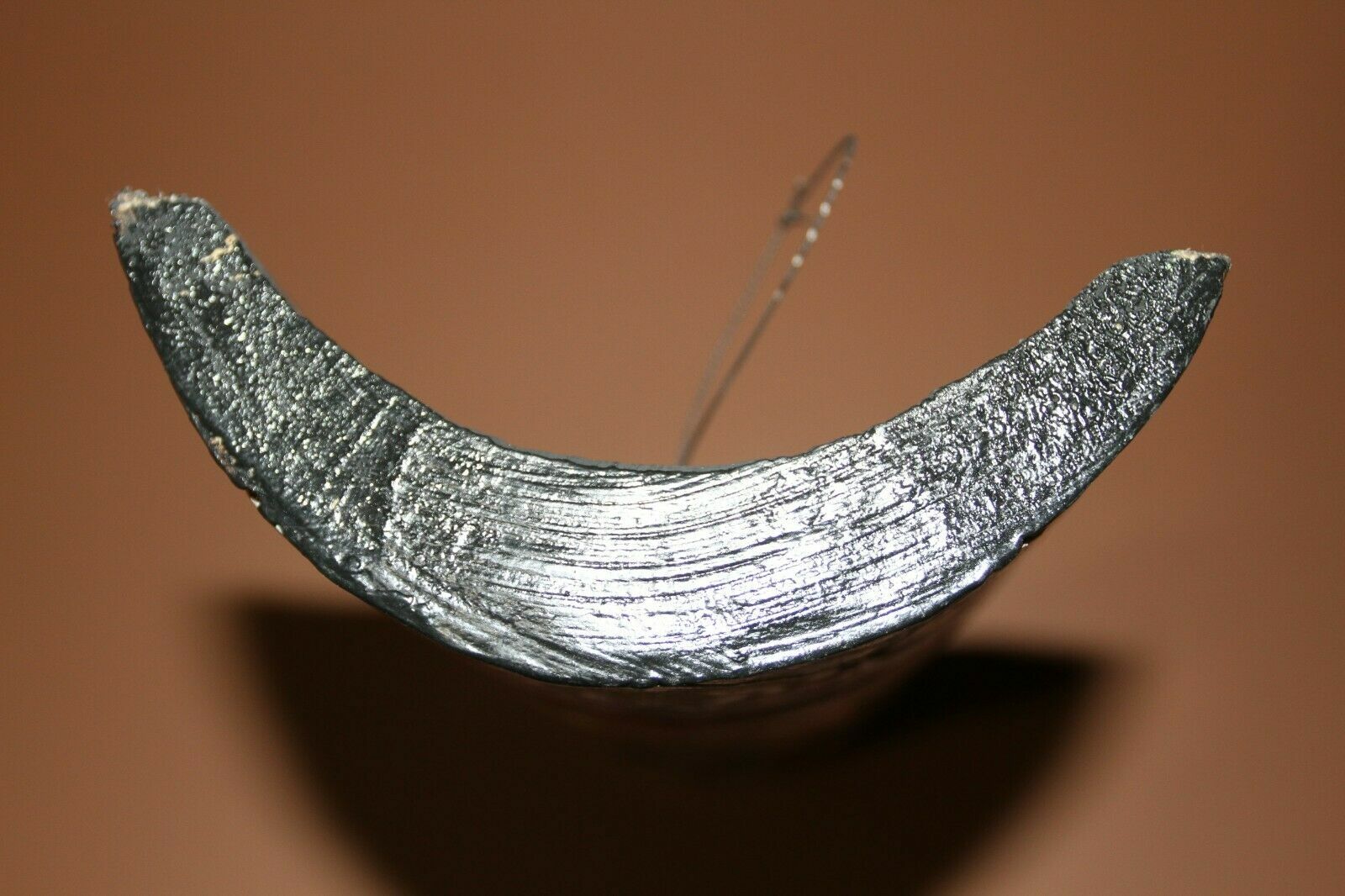 45281863