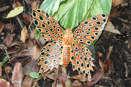 45282805