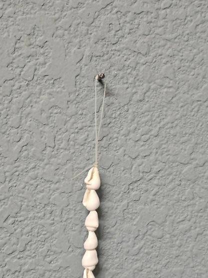 1 - Natural NASSA Seashell Garland, Tan and Cream, Matte Finish, 6 ft, for Shell Crafts and Home Decor, HG-05