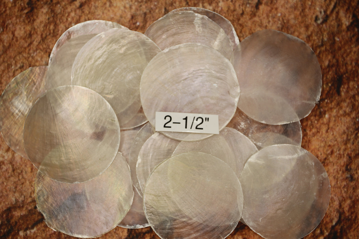 CAPIZ SEASHELLS, 2-1/2", Seaside Wedding Decor, Placement Cards, Floral Accents, Wedding Keepsakes, CS-95