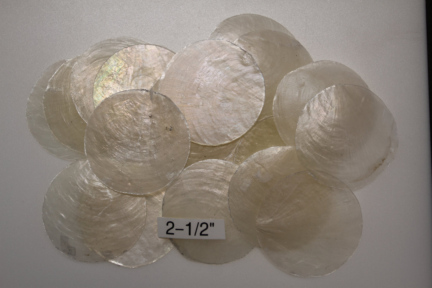CAPIZ SEASHELLS, 2-1/2", Seaside Wedding Decor, Placement Cards, Floral Accents, Wedding Keepsakes, CS-95