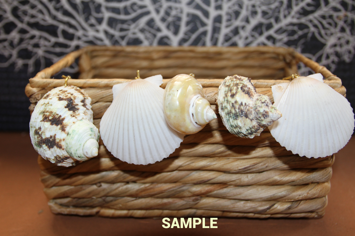 Gold Mouth Turbo Seashells, Drilled Seashell, Coastal Home Decor, Garlands, Upscale Craft Supply, SS-504