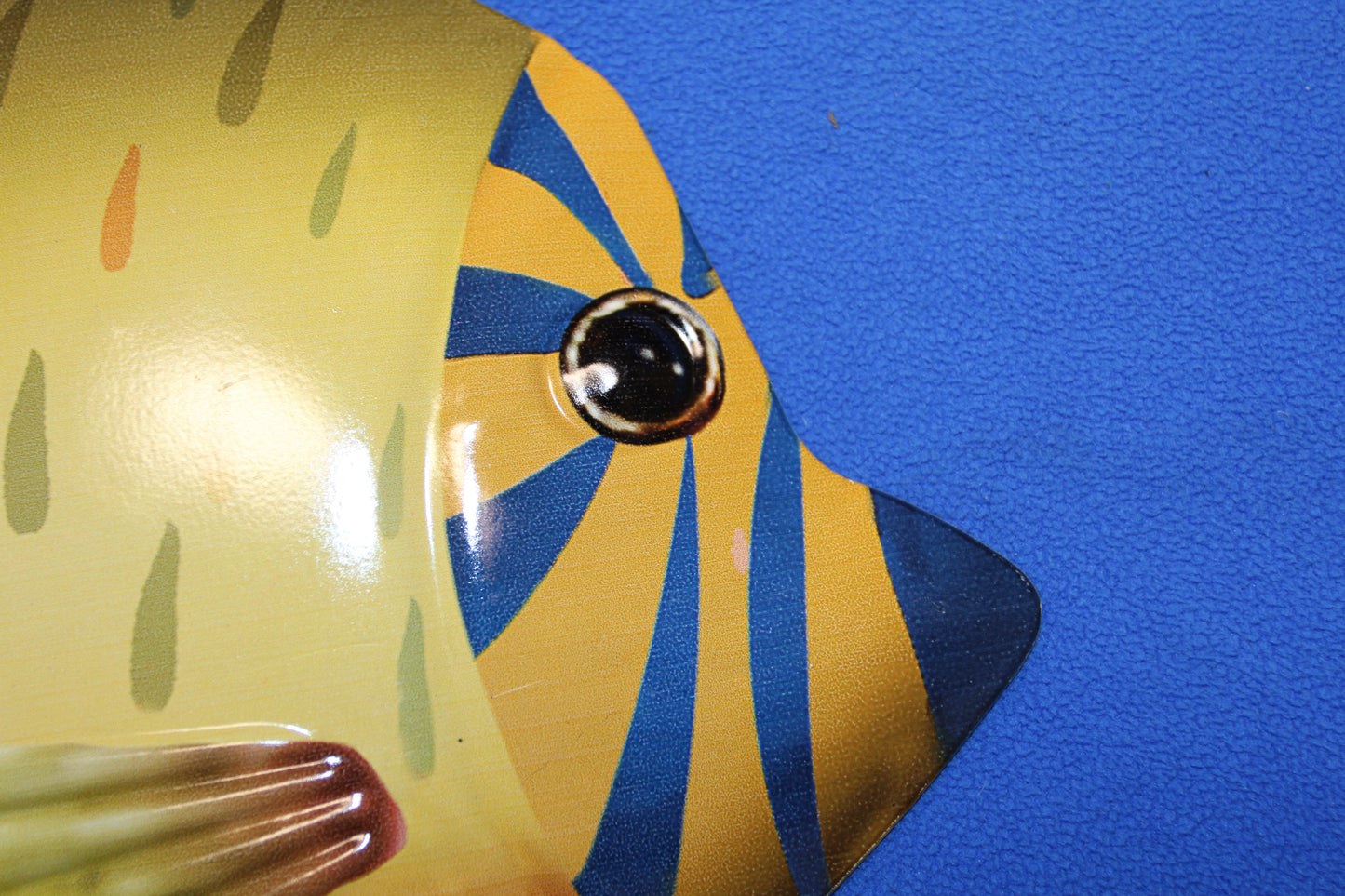 1-ANGEL FISH Wall Hanging, Tropical Island Decor,Beach Decor,Bath Decor,Ocean Fish, TRF-014T