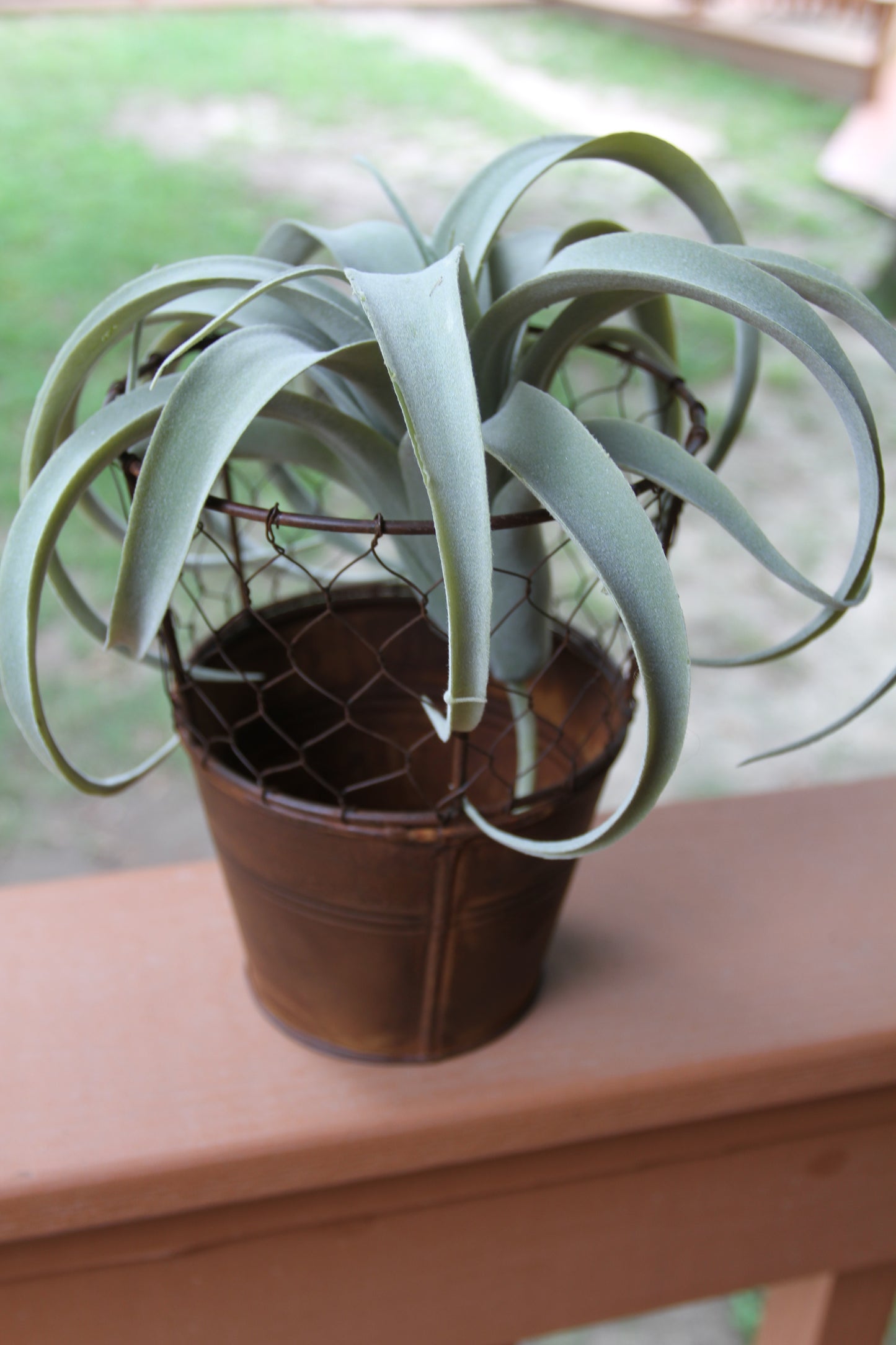 1-GARDEN DECOR,Chicken Wire Flower Pot,Country Decor,All Occasion Gifts,Plant Holder, GS-005