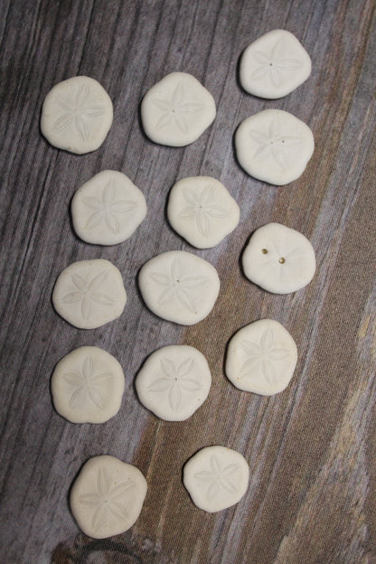 SEA COOKIES, Shell Craft Supply, Sea Biscuits, Sand Dollars, Glass Art, Jewelry Supply, SS-452