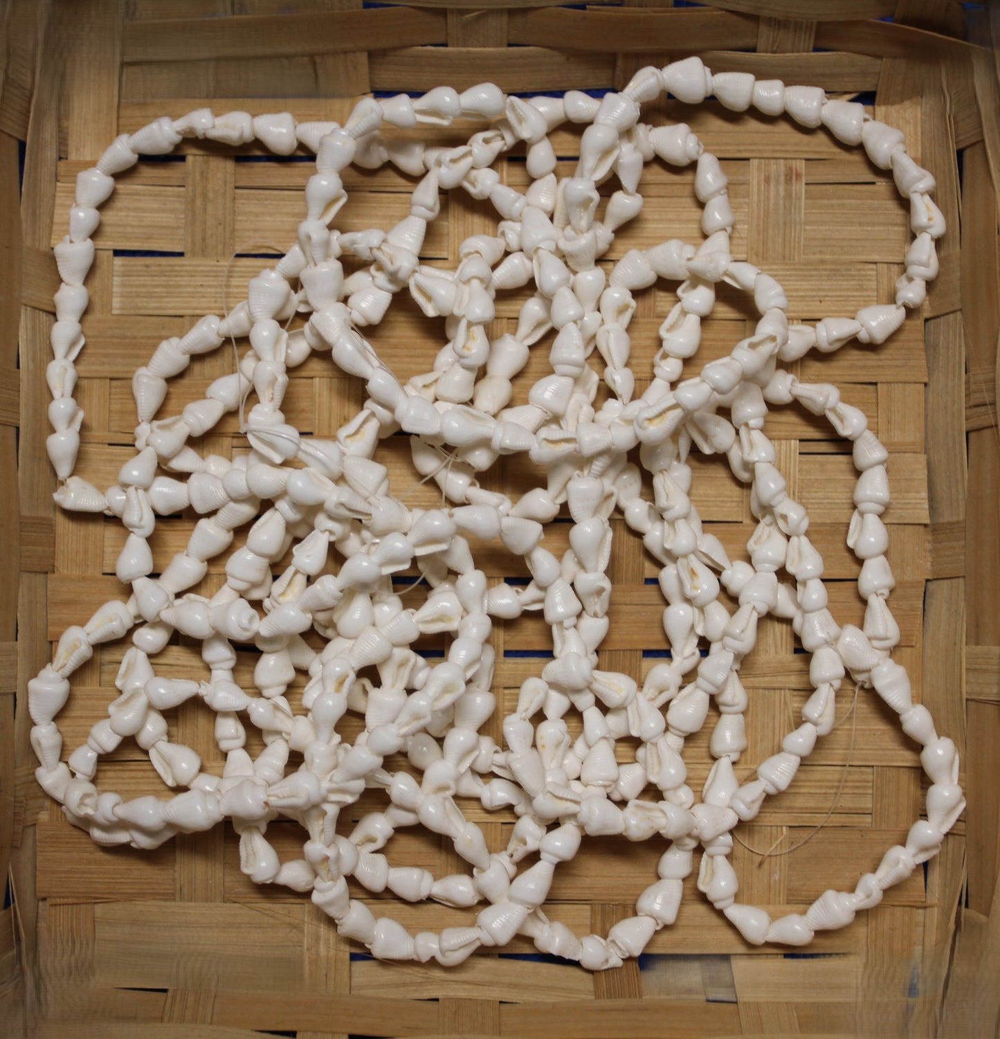 1 - Natural NASSA Seashell Garland, Tan and Cream, Matte Finish, 6 ft, for Shell Crafts and Home Decor, HG-05