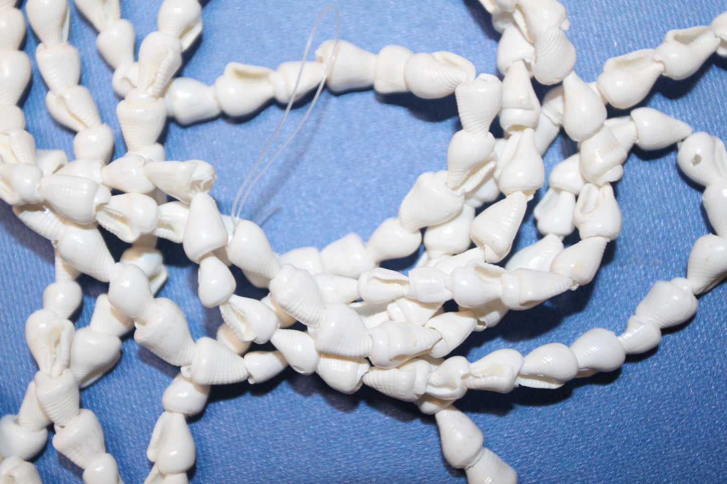 1 - Natural NASSA Seashell Garland, Tan and Cream, Matte Finish, 6 ft, for Shell Crafts and Home Decor, HG-05