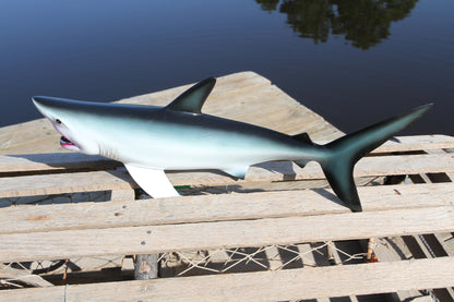 1- GREAT WHITE SHARK Replice,3D Species Correct 18" Shark Wall Hanging,All Occasion Gifts, SH-02