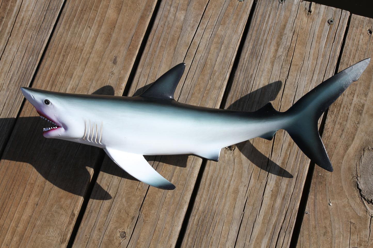 SH-02, 1- 18 INCH GREAT WHITE SHARK, Tiki Bar Decor, Coastal Home Wall Hanging,Shark Wall Mount, All Occasion Gifts