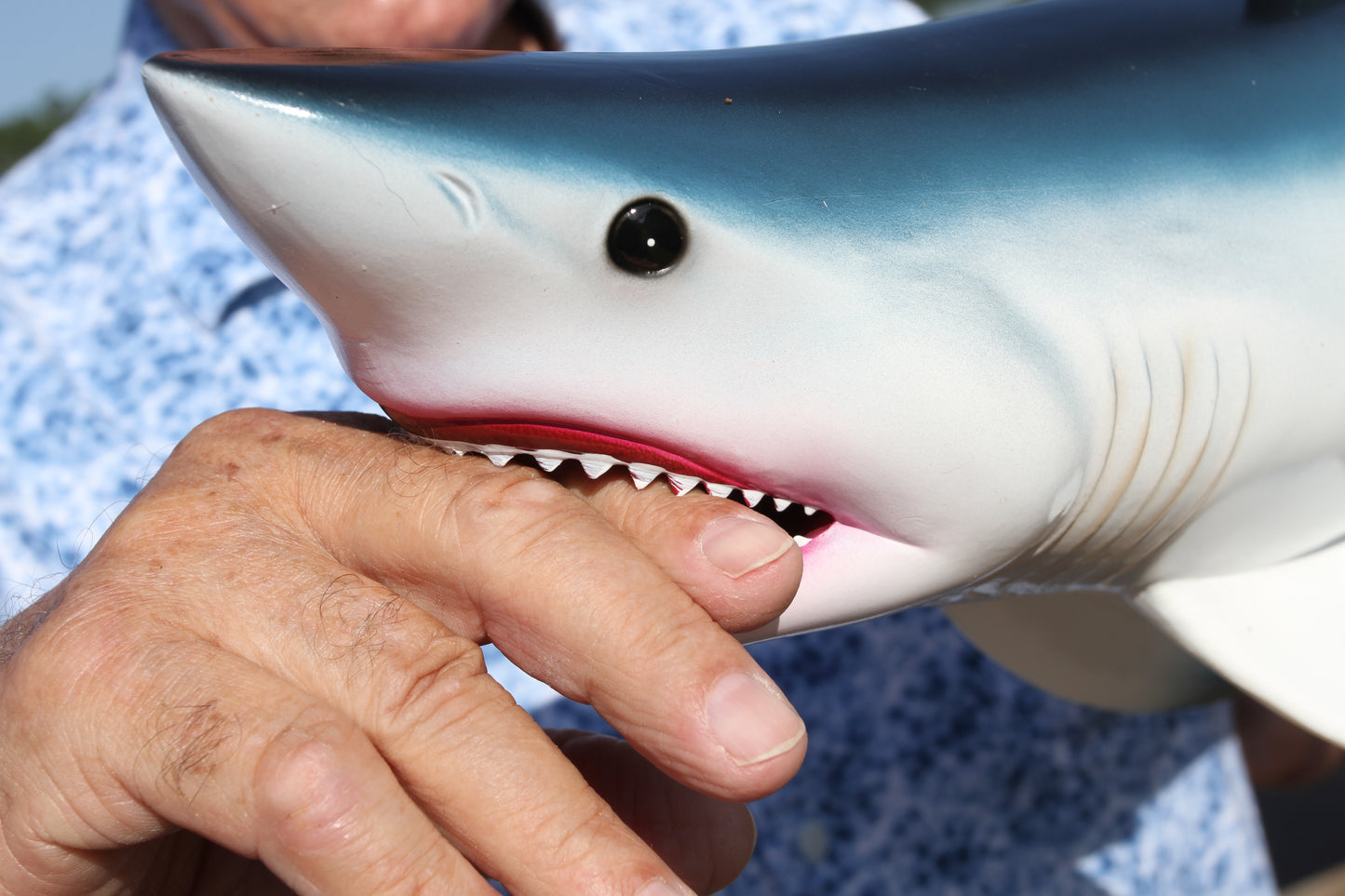 1- GREAT WHITE SHARK Replice,3D Species Correct 18" Shark Wall Hanging,All Occasion Gifts, SH-02