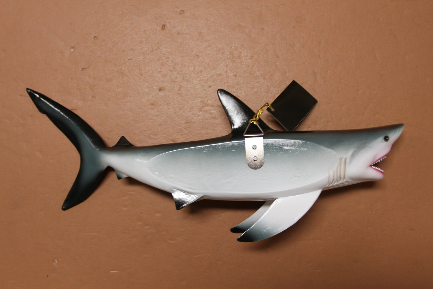 1- GREAT WHITE SHARK Replice,3D Species Correct 18" Shark Wall Hanging,All Occasion Gifts, SH-02