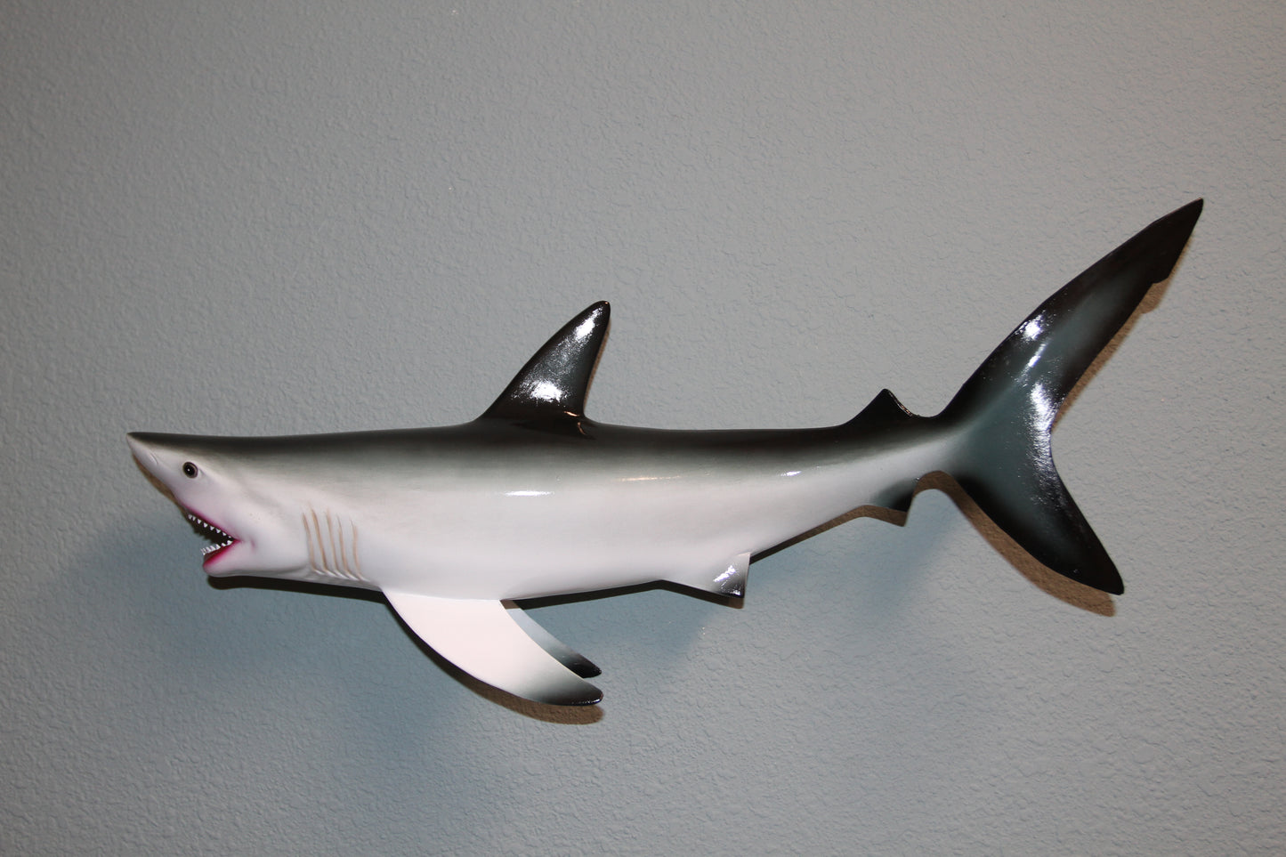 1- GREAT WHITE SHARK Replice,3D Species Correct 18" Shark Wall Hanging,All Occasion Gifts, SH-02