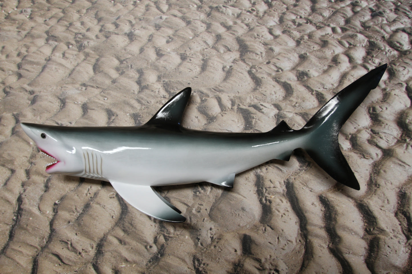 SH-02, 1- 18 INCH GREAT WHITE SHARK, Tiki Bar Decor, Coastal Home Wall Hanging,Shark Wall Mount, All Occasion Gifts