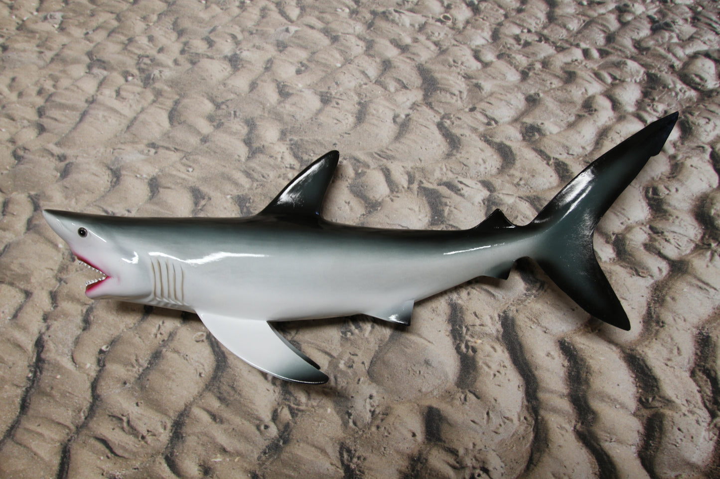 1- GREAT WHITE SHARK Replice,3D Species Correct 18" Shark Wall Hanging,All Occasion Gifts, SH-02