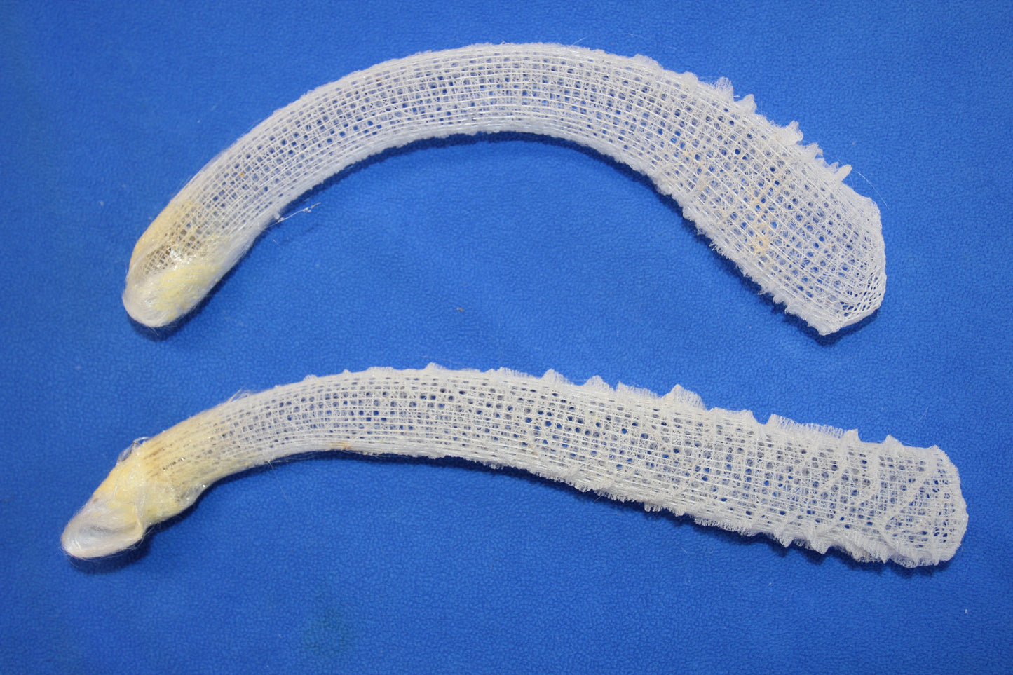 WEDDING FLOWER BASKETS,  Glass Sponge, Sea Life, Beach Home Decor, Venus Flower Baskets GH-FR