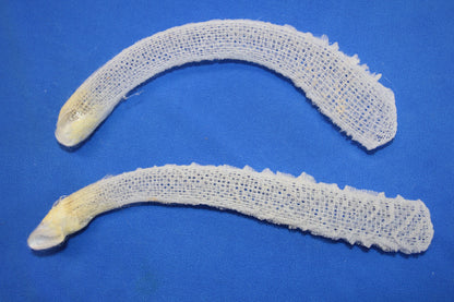 WEDDING FLOWER BASKETS,  Glass Sponge, Sea Life, Beach Home Decor, Venus Flower Baskets GH-FR