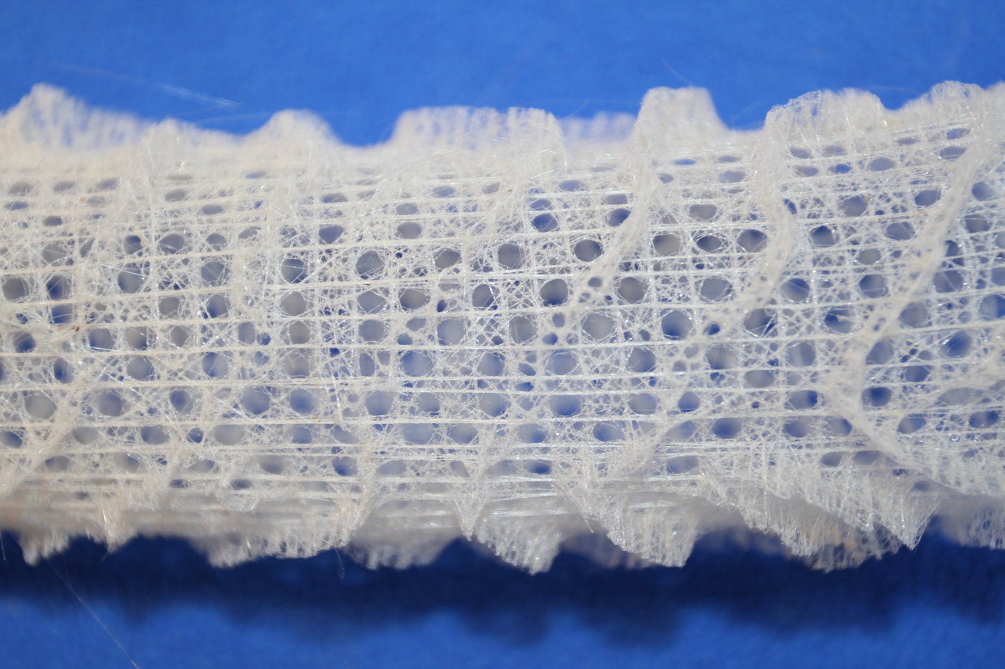 WEDDING FLOWER BASKETS,  Glass Sponge, Sea Life, Beach Home Decor, Venus Flower Baskets GH-FR