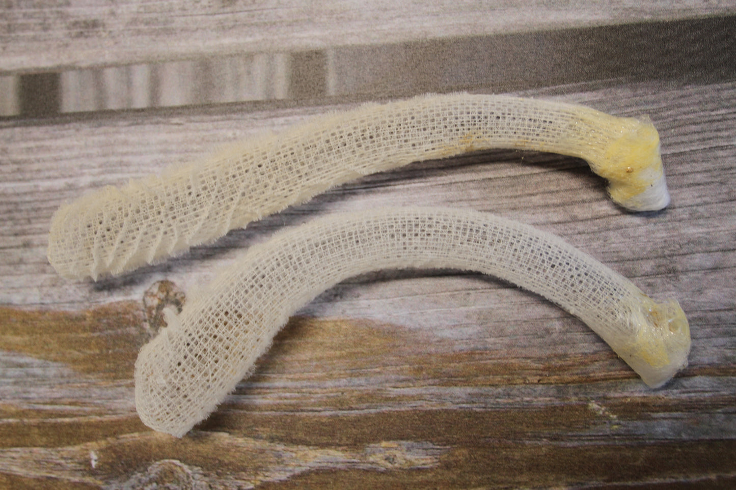 WEDDING FLOWER BASKETS,  Glass Sponge, Sea Life, Beach Home Decor, Venus Flower Baskets GH-FR