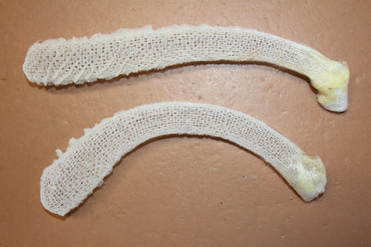 WEDDING FLOWER BASKETS,  Glass Sponge, Sea Life, Beach Home Decor, Venus Flower Baskets GH-FR