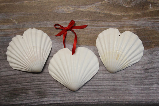 HEART SHAPE DRILLED IRISH CUPS, Valentines Gift, Hanging Ornaments, Seashell Craft Supply, SS-453