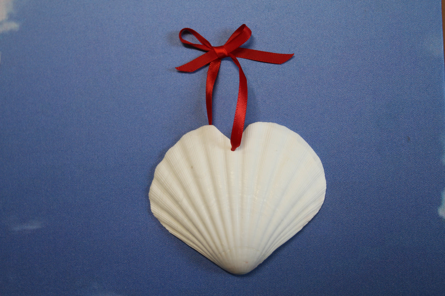 HEART SHAPE DRILLED IRISH CUPS, Valentines Gift, Hanging Ornaments, Seashell Craft Supply, SS-453