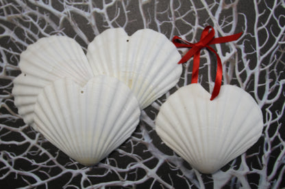 DRILLED IRISH CUPS In The Shape Of A Heart, Valentines Gift, Hanging Ornaments, Seashell Craft Supply, SS-453