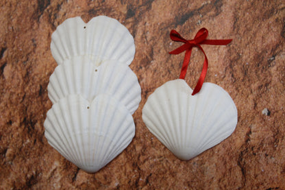 HEART SHAPE DRILLED IRISH CUPS, Valentines Gift, Hanging Ornaments, Seashell Craft Supply, SS-453