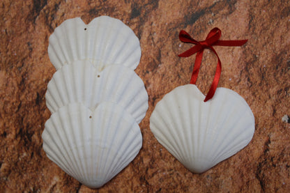 DRILLED IRISH CUPS In The Shape Of A Heart, Valentines Gift, Hanging Ornaments, Seashell Craft Supply, SS-453