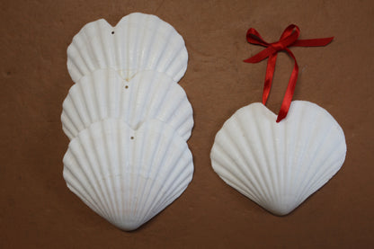 DRILLED IRISH CUPS In The Shape Of A Heart, Valentines Gift, Hanging Ornaments, Seashell Craft Supply, SS-453
