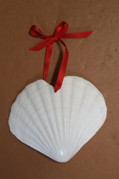 DRILLED IRISH CUPS In The Shape Of A Heart, Valentines Gift, Hanging Ornaments, Seashell Craft Supply, SS-453