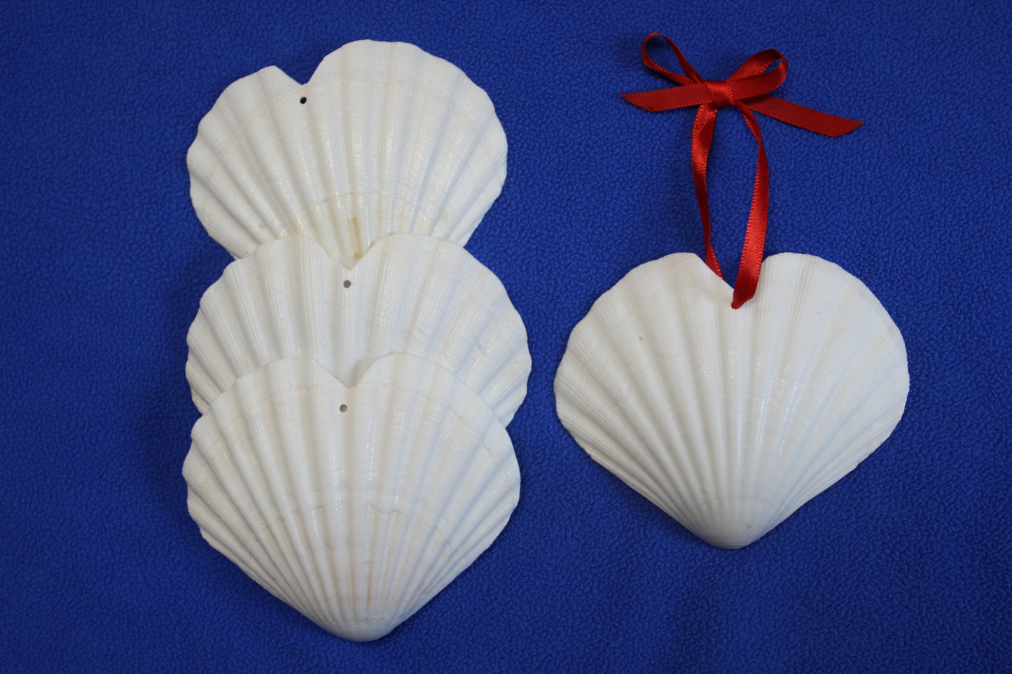 DRILLED IRISH CUPS In The Shape Of A Heart, Valentines Gift, Hanging Ornaments, Seashell Craft Supply, SS-453
