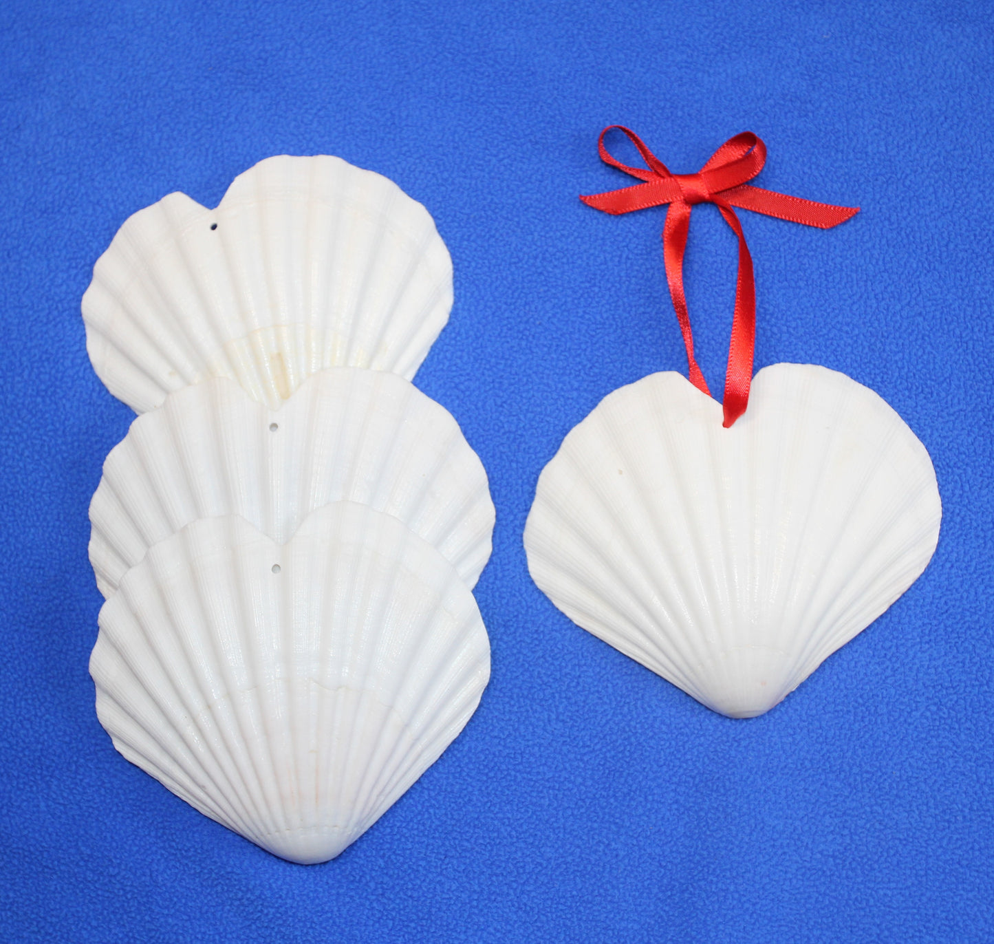 DRILLED IRISH CUPS In The Shape Of A Heart, Valentines Gift, Hanging Ornaments, Seashell Craft Supply, SS-453