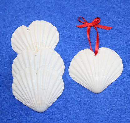 DRILLED IRISH CUPS In The Shape Of A Heart, Valentines Gift, Hanging Ornaments, Seashell Craft Supply, SS-453
