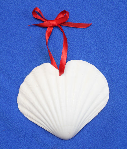 DRILLED IRISH CUPS In The Shape Of A Heart, Valentines Gift, Hanging Ornaments, Seashell Craft Supply, SS-453
