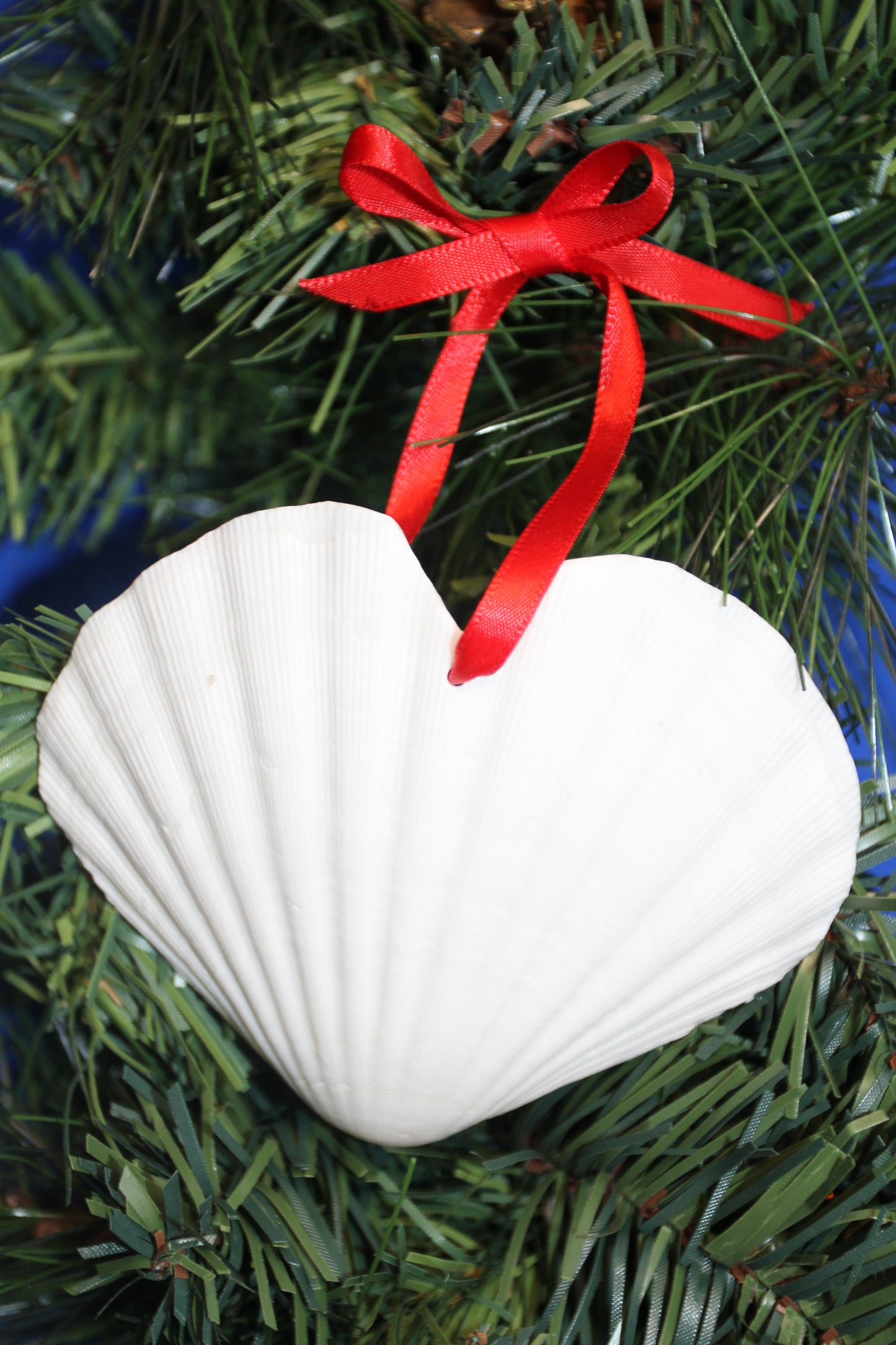 DRILLED IRISH CUPS In The Shape Of A Heart, Valentines Gift, Hanging Ornaments, Seashell Craft Supply, SS-453