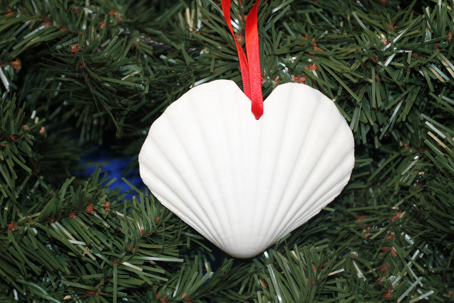 DRILLED IRISH CUPS In The Shape Of A Heart, Valentines Gift, Hanging Ornaments, Seashell Craft Supply, SS-453