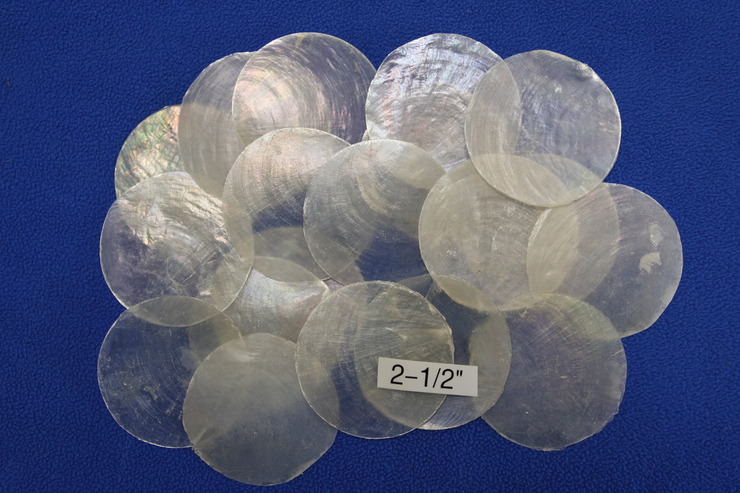 CAPIZ SEASHELLS, 2-1/2", Seaside Wedding Decor, Placement Cards, Floral Accents, Wedding Keepsakes, CS-95