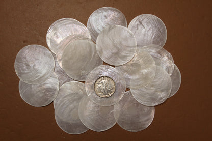 SEASHELLS, Capiz Seashell, Thick Cut Shells, Semi Translucent Seashells Sea Art Supply, Sun Catcher Supply, CS-90