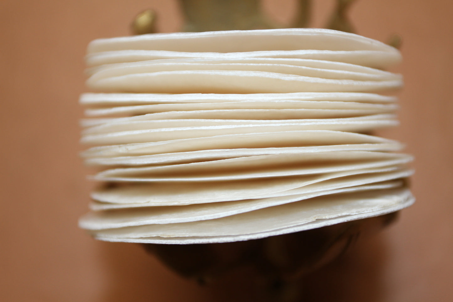 SEASHELLS, Capiz Seashell, Thick Cut Shells, Semi Translucent Seashells Sea Art Supply, Sun Catcher Supply, CS-90