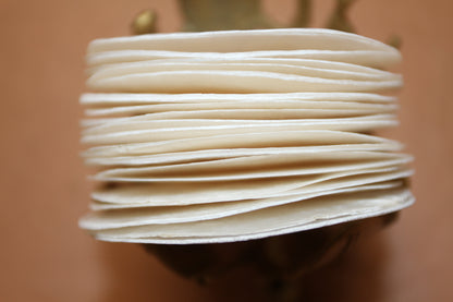 SEASHELLS, Capiz Seashell, Thick Cut Shells, Semi Translucent Seashells Sea Art Supply, Sun Catcher Supply, CS-90