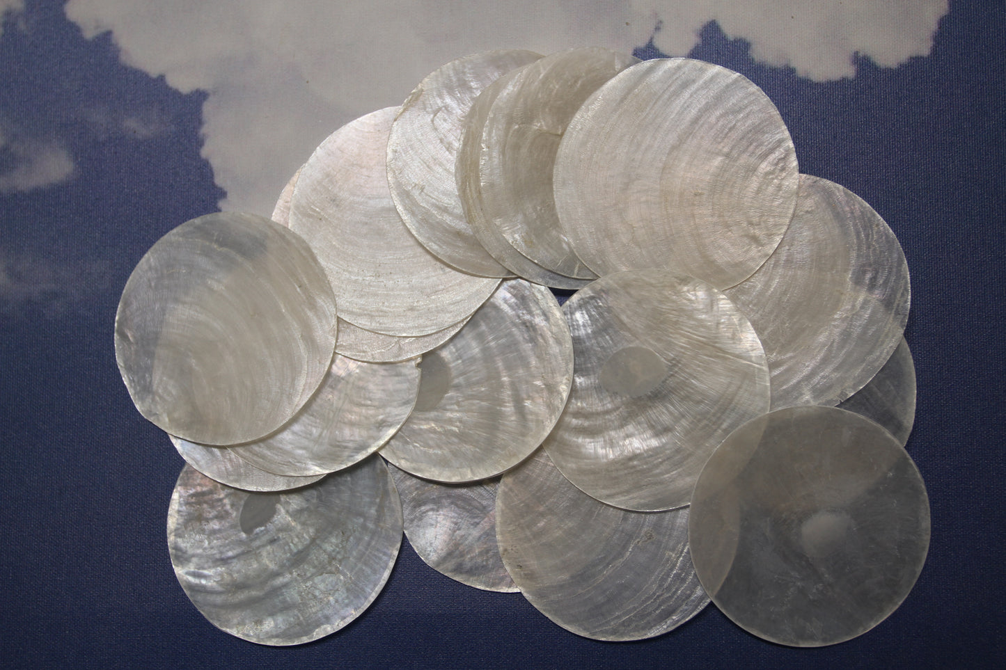 3 inch Capiz Seashell, Thick Cut Shells, Semi Translucent Seashells Wall  Art Supply, Beach Home Decor, CS-90