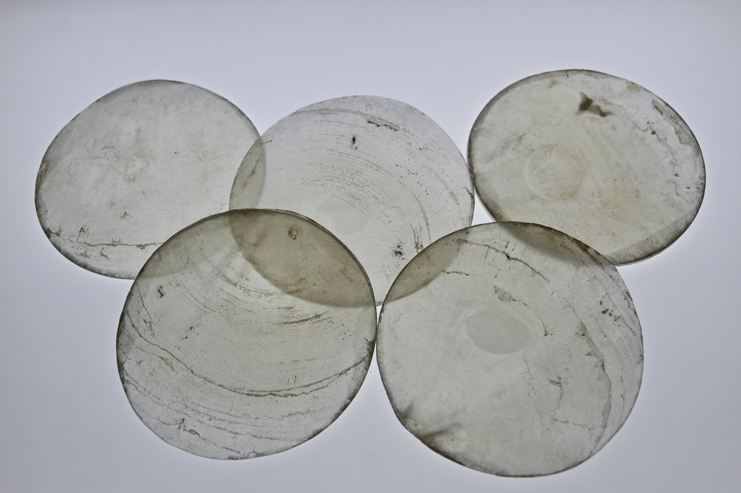 3 inch Capiz Seashell, Thick Cut Shells, Semi Translucent Seashells Wall  Art Supply, Beach Home Decor, CS-90