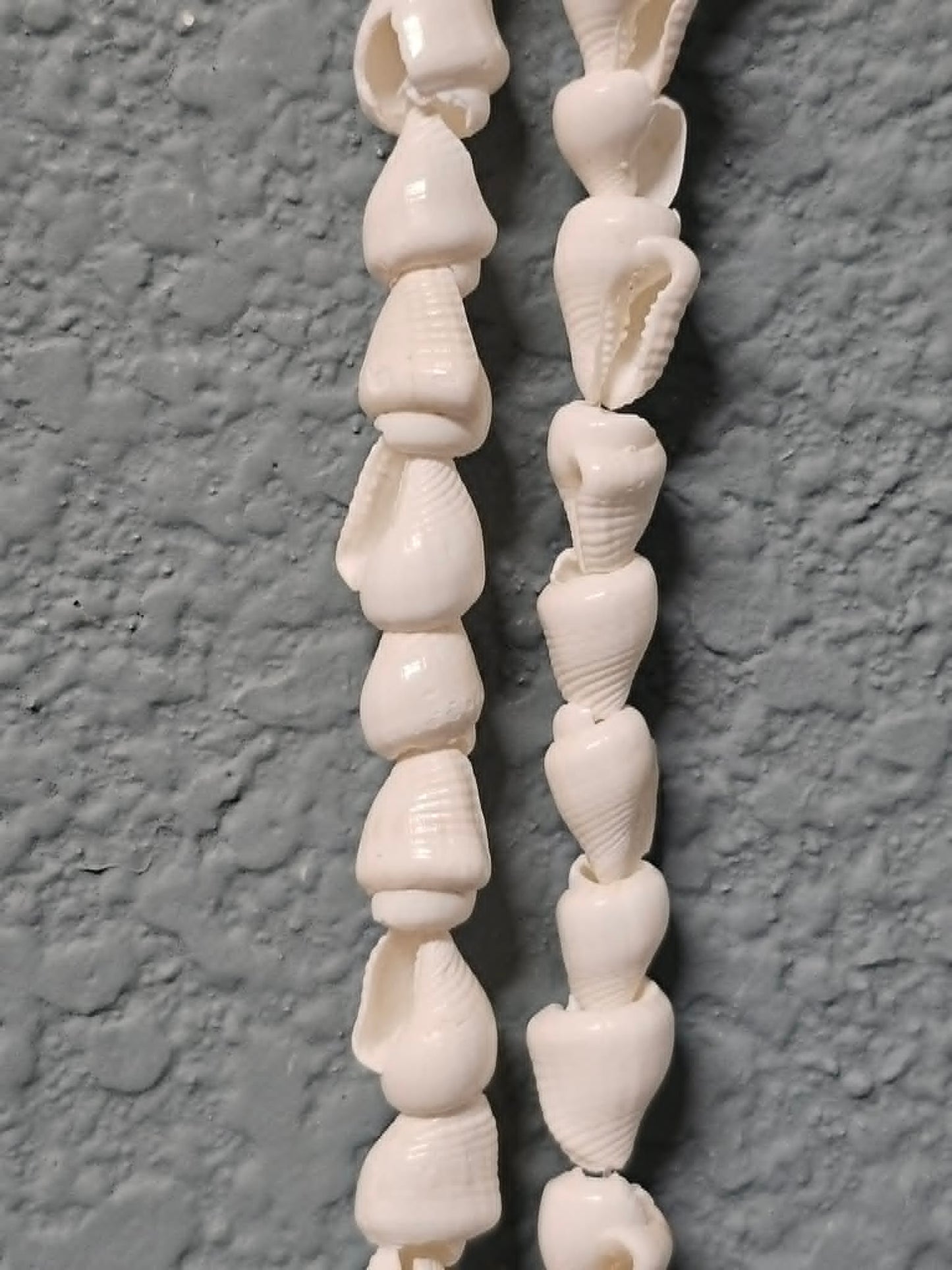 1 - Natural NASSA Seashell Garland, Tan and Cream, Matte Finish, 6 ft, for Shell Crafts and Home Decor, HG-05