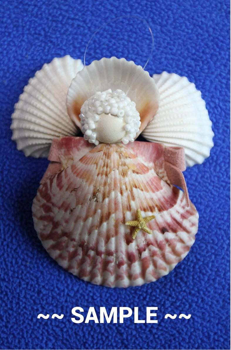 CRAFTING SEASHELLS, WHITE ARKS, Mirror Embellishments Beach Decor, Coastal Wedding Supply, Bath Decor, SS-502