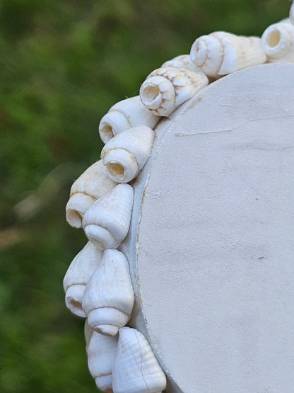 1 - Natural NASSA Seashell Garland, Tan and Cream, Matte Finish, 6 ft, for Shell Crafts and Home Decor, HG-05