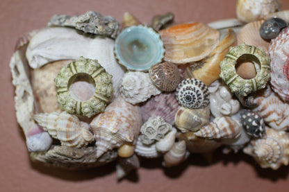 50-MINI SEA URCHINS, Craft Supply, Beach Art, All Occasion Gifts,Collectibles,Coastal Home Decor, Seashell Wall Art, SS-21